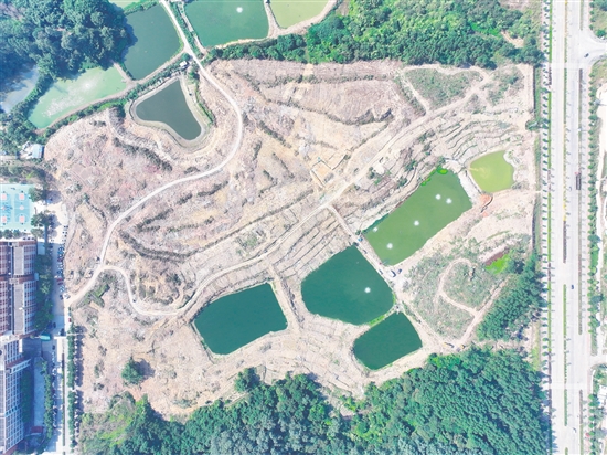 本次競拍的蓬江24、25、26號地為相連地塊。