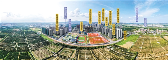 去年推出的靚地受到開(kāi)發(fā)商青睞。