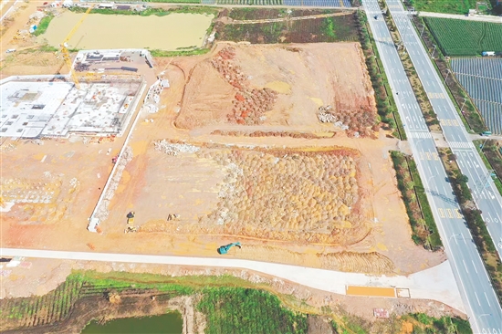 江門市JCR2025-65（開平06）號地。