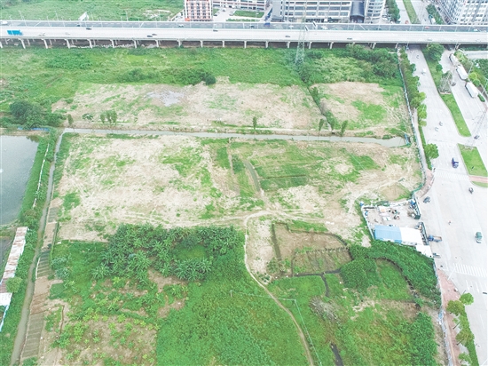 江門市JCR2025-101（江海08）號(hào)地位于江海區(qū)外海片區(qū)。