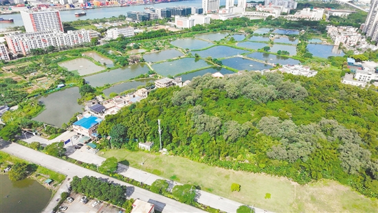 江門(mén)市JCR2025-148（蓬江22）號(hào)地。