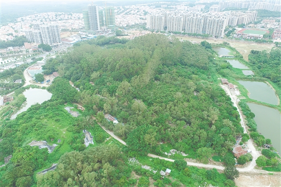 江門市JCR2025-188（臺(tái)山27）號(hào)地。