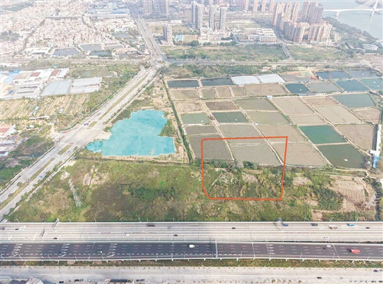江門市JCR2026-54（江海01）號地。