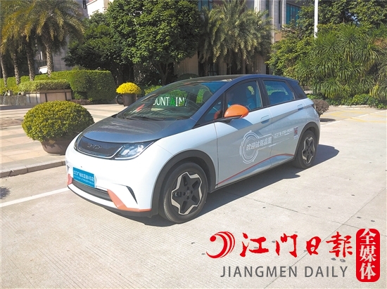 海豚外觀年輕、可愛。