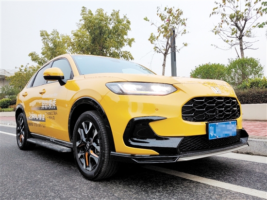 致在配色大膽，充滿運動氣息。