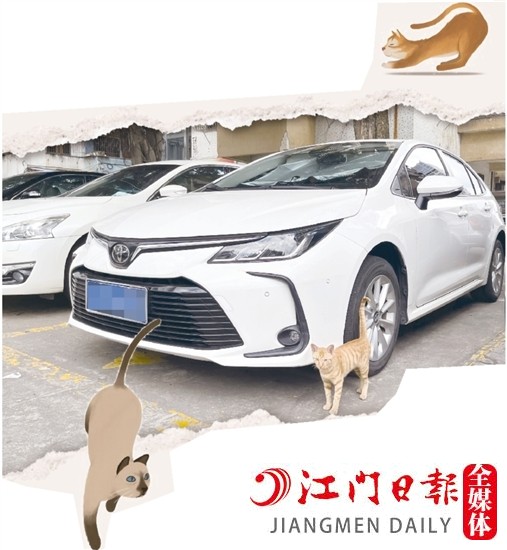 車主停車時，盡量減少停在流浪貓出沒的地方。