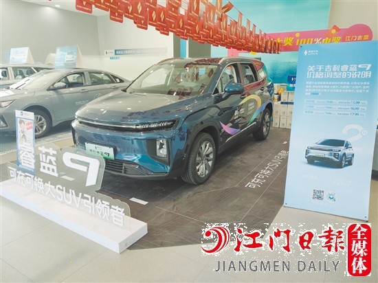 睿藍(lán)9采用睿藍(lán)家族化設(shè)計(jì)語(yǔ)言，大氣穩(wěn)重。