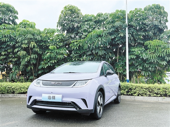 2023款海豚外觀及內(nèi)飾。