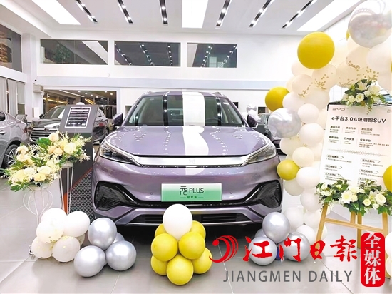 元PLUS冠軍版簡(jiǎn)約時(shí)尚，圓潤(rùn)好看。